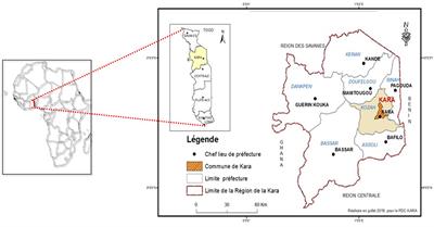 Knowledge, attitudes, and practices of health care professionals regarding dengue fever: need for training and provision of diagnostic equipment in Togo in 2022, a cross-sectional study